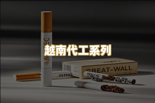 越南代工系列